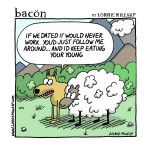 bacon211117